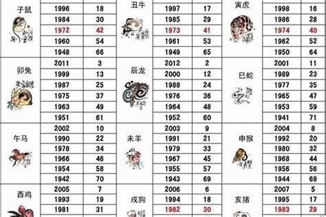 00年属啥|00年属什么